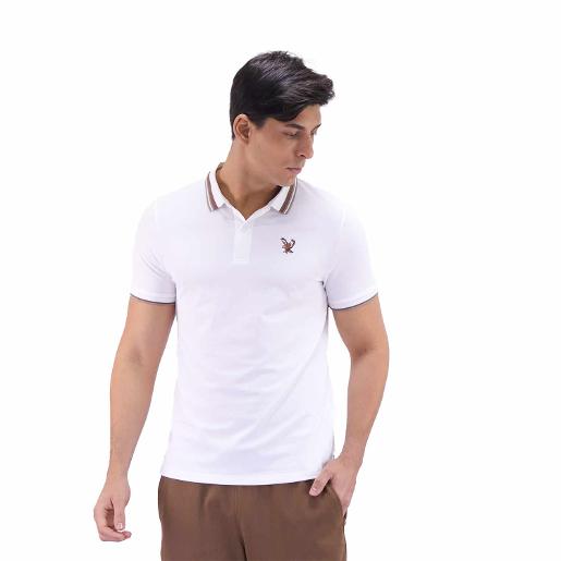 Men's Solid Polo