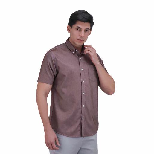 Men's Wrinkle Free Shirt