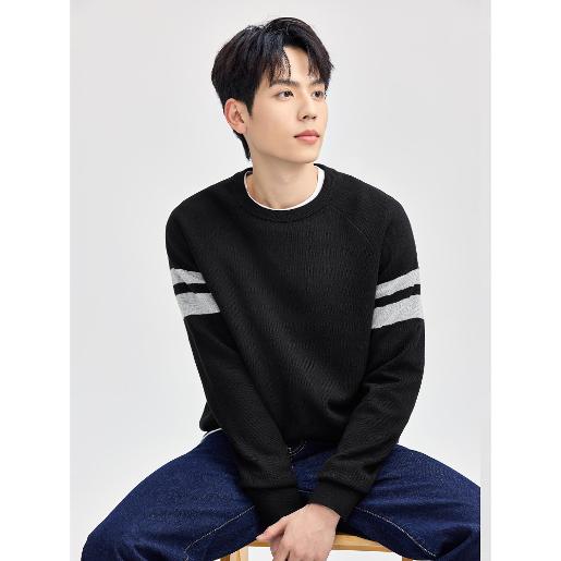 Men's Jacquard Crew Neck Long Sleeve Regular  Pullover Men's Jacquard Crew Neck Long Sleeve Regular  Pullover